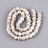 Handmade Foil Glass Beads FOIL-Q001-02J-2