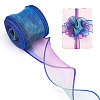 2 Rolls Polyester Mesh Ribbons SRIB-TA0003-42A-2