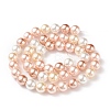 Shell Pearl Bead Strands BSHE-L017-11-2