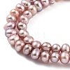 Natural Cultured Freshwater Pearl Beads Strands PEAR-C003-10E-4