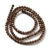 Natural Freshwater Shell Beads Strands SHEL-H003-03D-2