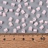 FGB Grade A Frosted Glass Seed Beads SEED-Q040-04A-08-6