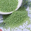 MIYUKI Round Rocailles Beads SEED-G007-RR0676-1