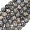 Natural Labradorite Beads Strands G-L642-F07-12mm-2