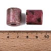 Natural Rhodonite European Beads G-P520-05F-2