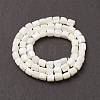 Natural Sea Shell Column Bead Strands SSHEL-M014-22-A-3