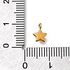 304 Stainless Steel Charms STAS-R159-58G-05-3