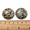 Natural Dalmatian Jasper Cabochons G-C115-02B-21-3