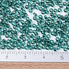 MIYUKI Round Rocailles Beads X-SEED-G007-RR0030-4