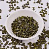 MIYUKI TILA Beads X-SEED-J020-TL4519-2
