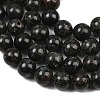 Natural Seraphinite Beads Strands G-H337-A03-04-4