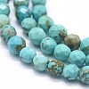 Natural Howlite Beads Strands X-G-D0012-01A-3