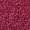 MIYUKI Delica Beads SEED-X0054-DB2154-3