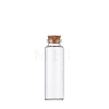 Glass Empty Wishing Bottle PW-WG17389-07-1