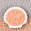 FGB Frosted Transparent Glass Seed Beads SEED-N013-03A-03-2