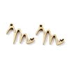 304 Stainless Steel Charms X-STAS-M327-02G-M-1