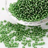 (Repacking Service Available) 8/0  Glass Seed Beads SEED-C014-3mm-27B-1