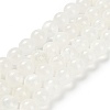 Natural White Jade Beads Strands G-B128-A02-04-1