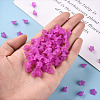 Transparent Acrylic Beads PL554-17-6