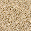 MIYUKI Round Rocailles Beads X-SEED-G007-RR0487-3
