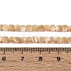 Natural Trochid Shell/Trochus Shell Beads Strands BSHE-T014-52B-01-4