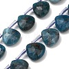 Natural Apatite Beads Strands G-C292-A06-01-1