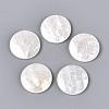 Natural White Shell Cabochons BSHE-T014-49-1