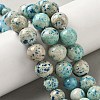 Natural Fossil Graduated Beads Strands G-F830-A03-01E-1