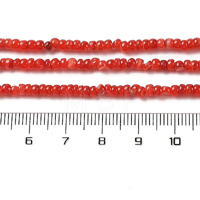 Natural Freshwater Shell Beads Strands SHEL-P017-01B-07-1