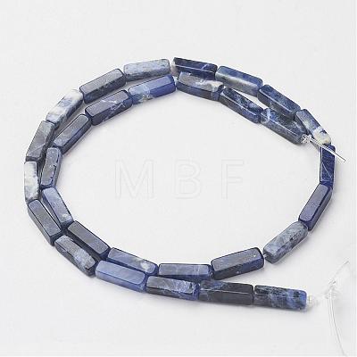 Natural Sodalite Beads Strands G-G968-D02-1