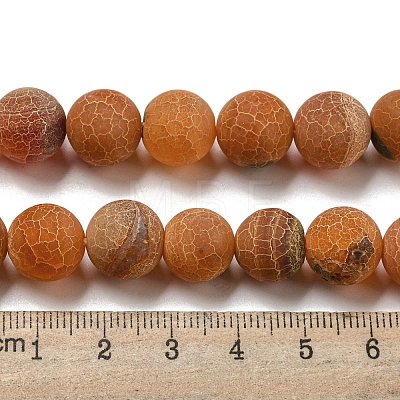 Natural Weathered Agate Beads Strands G-P538-A01-10-1