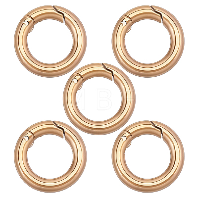 5Pcs 304 Stainless Steel Spring Gate Clasp Findings STAS-HY0002-14G-1