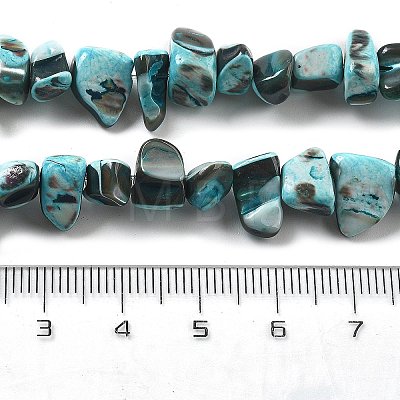 Dyed Natural Trochus Shell Beads Strands BSHE-Z006-01E-1