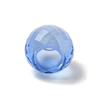 Glass European Beads GLAA-XCP0001-42C-1