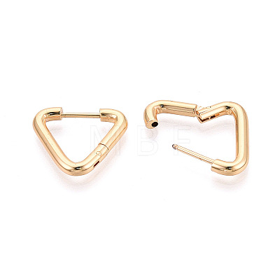 304 Stainless Steel Hoop Earrings STAS-T074-20G-1