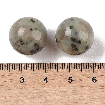 Natural Sesame Jasper No Hole Sphere Beads G-K353-04D-36-1