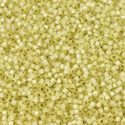 MIYUKI Delica Beads X-SEED-J020-DB0623-1