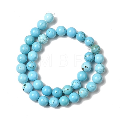 Dyed & Heated Natural Magnesite Beads Strands G-G924-01B-01-1