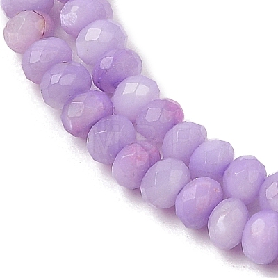 Natural Freshwater Shell Dyed Beads Strands SHEL-R100-13A-01-1