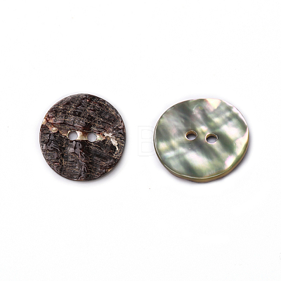 Abalone Shell/Paua Shell BSHE-I011-04A-1