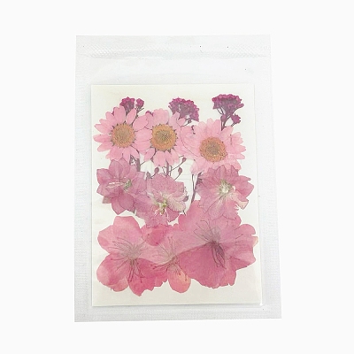 Pressed Dried Flowers DIY-B070-01A-1