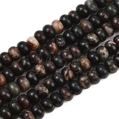 Natural Biotite Beads Strands G-L647-D05-4x6mm-1