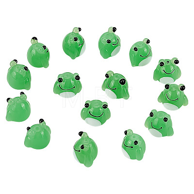 15pcs Lampwork Beads LAMP-AR0001-35-1