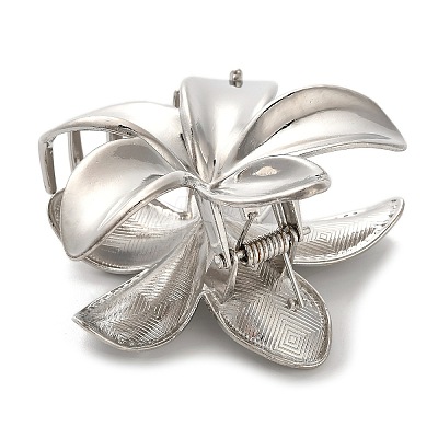 Alloy Claw Hair Clips LS-AJEW-A061-06C-P-1