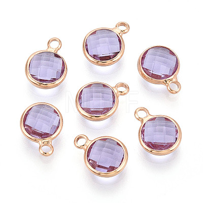 Golden Tone Brass Glass Charms X-GLAA-ZX008-24I-G-1