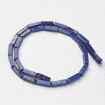 Natural Lapis Lazuli Beads Strands X-G-G968-D03-1
