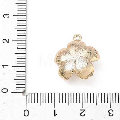 Brass Pendants KK-D263-01G-05-1