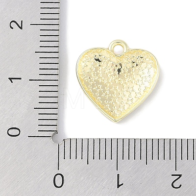 Rack Plating Alloy Enamel Charms PALLOY-F018-13G-01-1