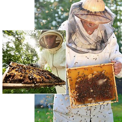 Beekeeping Tools DIY-GA0001-47-1