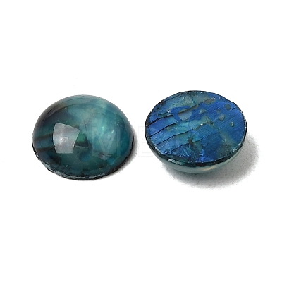 Abalone Shell/Paua Shell Cabochons X-SSHEL-K003-8MM-1